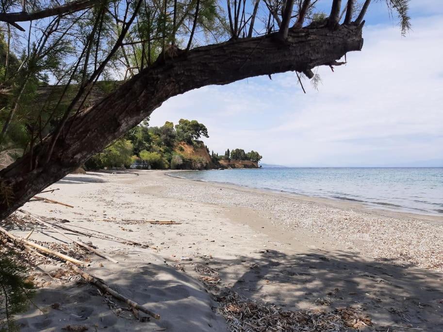 Traditional House At Koroni Near Beach Esterno foto